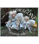 Fairy Frost Porcelain Fairy Doll 16.5 in, Porcelain Fairy Dolls   