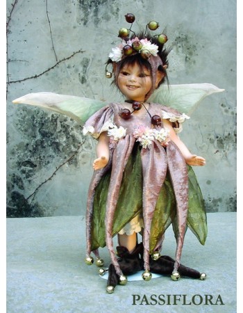 Fairy Passiflora