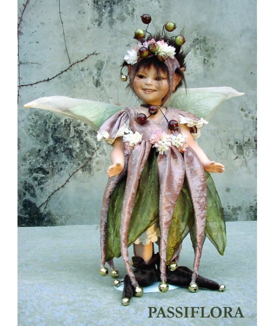 Fairy Passiflora