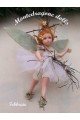 February Fairy