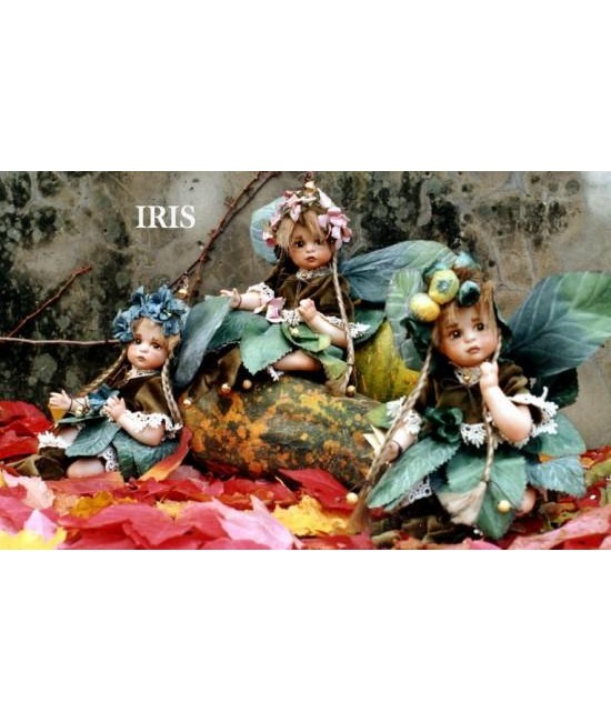 Iris Fairy