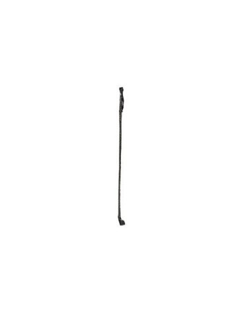 From Horse In Leather Whip
