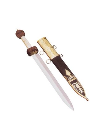 Roman Gladius (Pompeii)