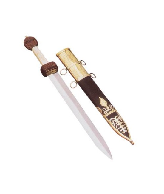 Roman Gladius (Pompeii)
