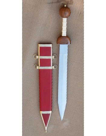 Roman Gladius (Pompei)