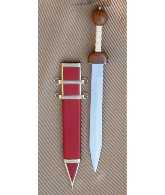 Roman Gladius (Pompei)