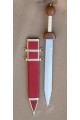 Roman Gladius (Pompei)