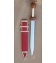 Roman Gladius (Pompei)