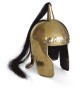 Helmet Auriga