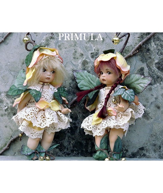primula