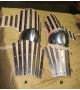 Medieval Protection the Arms 