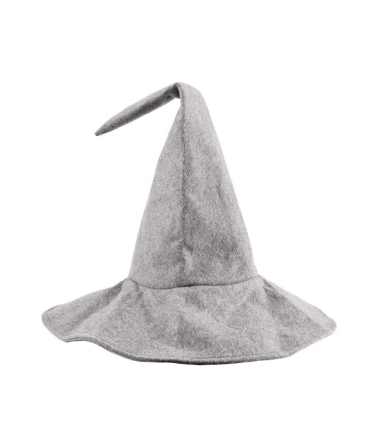 Wizard's hat
