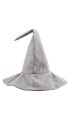 Wizard's hat