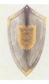 Shield pinned Arthur