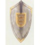 Shield pinned Arthur