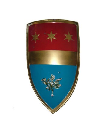 Heraldic shield, custom