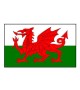 Heraldic shield, custom
