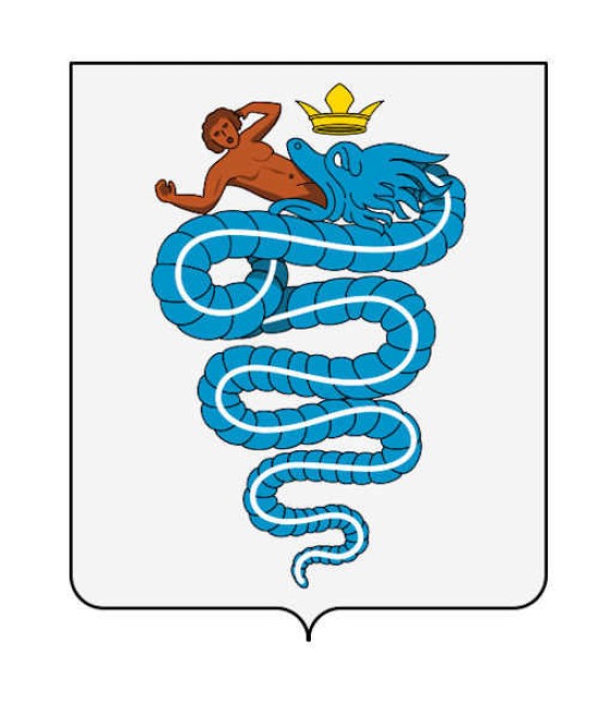 Heraldic shield, custom
