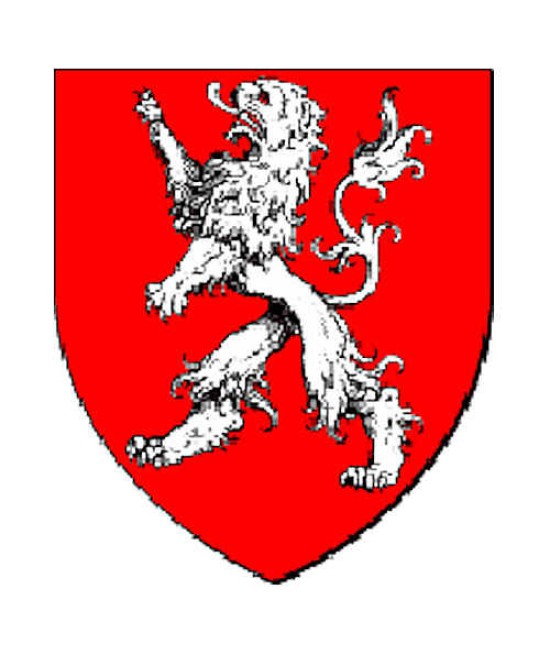 Heraldic shield, custom