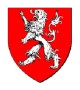 Heraldic shield, custom