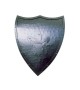 Medieval Shield European