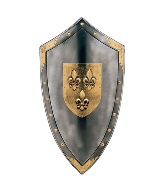 Triangular shield Anjou