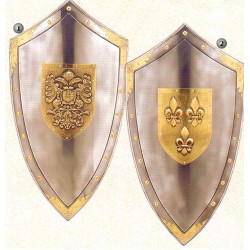 Triangular shield Anjou