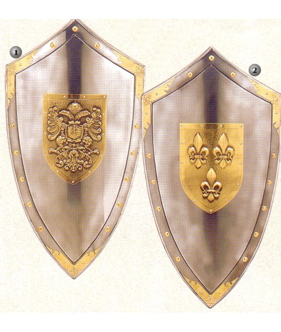 Triangular shield Anjou