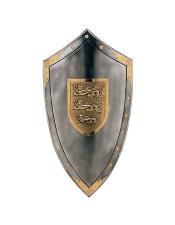 Shield pinned England