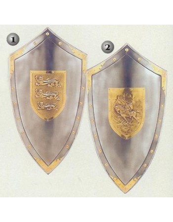 Shield pinned England