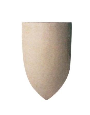 Triangular shield