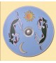 Viking Round Shield
